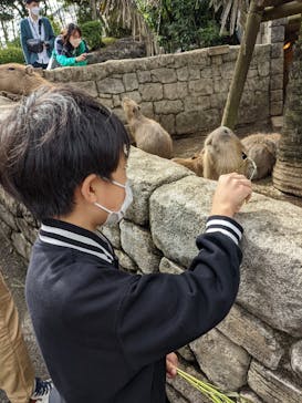 伊豆シャボテン動物公園に投稿された画像（2022/10/9）