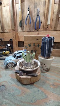 SWING BY（スウィング バイ）に投稿された画像（2022/10/9）