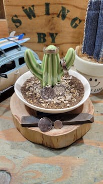 SWING BY（スウィング バイ）に投稿された画像（2022/10/9）