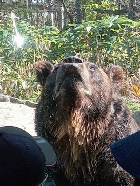 サホロリゾート　ベア･マウンテンに投稿された画像（2022/10/9）