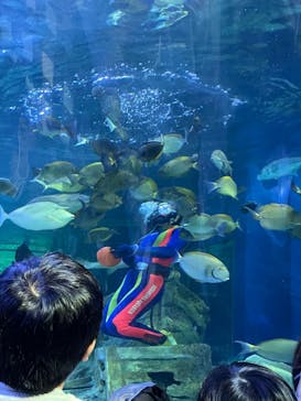 しながわ水族館に投稿された画像（2022/10/9）