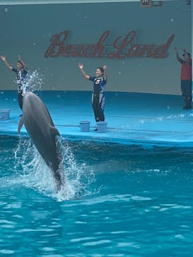 南知多ビーチランド＆南知多おもちゃ王国に投稿された画像（2022/10/9）