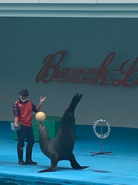 南知多ビーチランド＆南知多おもちゃ王国に投稿された画像（2022/10/9）