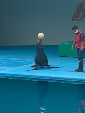 南知多ビーチランド＆南知多おもちゃ王国に投稿された画像（2022/10/9）