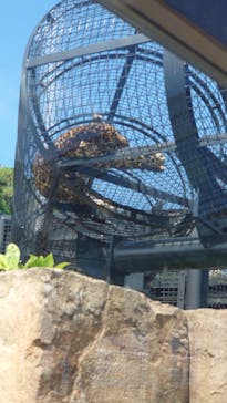 沖縄こどもの国に投稿された画像（2022/10/9）