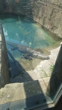 沖縄こどもの国に投稿された画像（2022/10/9）