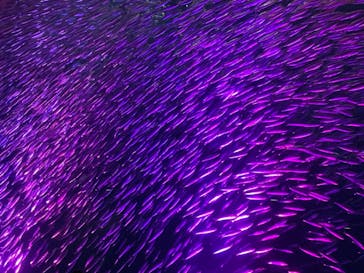 名古屋港水族館に投稿された画像（2022/10/9）