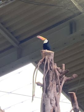 那須どうぶつ王国に投稿された画像（2022/10/9）