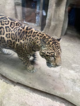 那須どうぶつ王国に投稿された画像（2022/10/9）