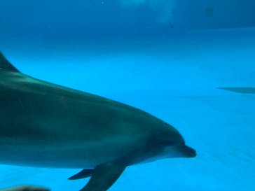 アクアワールド茨城県大洗水族館に投稿された画像（2022/10/9）
