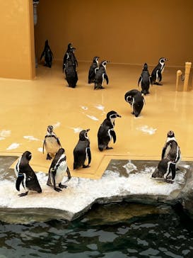 アクアワールド茨城県大洗水族館に投稿された画像（2022/10/9）