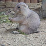 神戸どうぶつ王国に投稿された画像（2022/10/9）