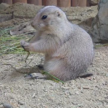 神戸どうぶつ王国に投稿された画像（2022/10/9）