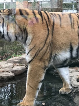 那須どうぶつ王国に投稿された画像（2022/10/9）