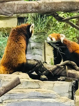 那須どうぶつ王国に投稿された画像（2022/10/9）