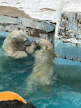 天王寺動物園に投稿された画像（2022/10/9）