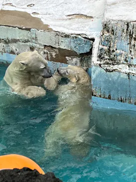 天王寺動物園に投稿された画像（2022/10/9）