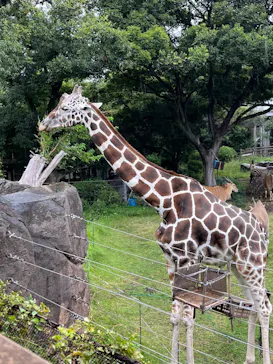 天王寺動物園に投稿された画像（2022/10/9）