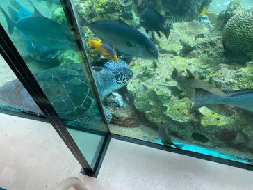 横浜・八景島シーパラダイスに投稿された画像（2022/10/9）