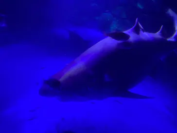 横浜・八景島シーパラダイスに投稿された画像（2022/10/9）