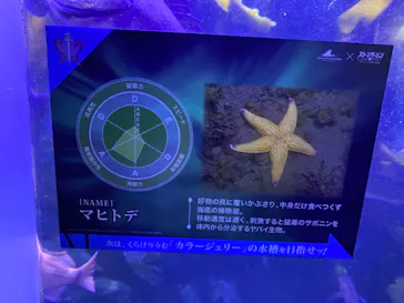 横浜・八景島シーパラダイスに投稿された画像（2022/10/9）