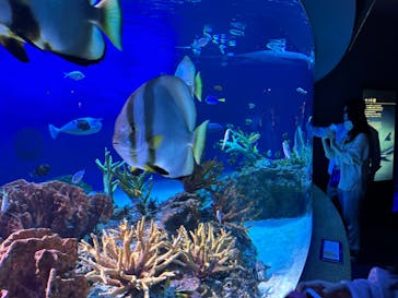 新江ノ島水族館に投稿された画像（2022/10/9）