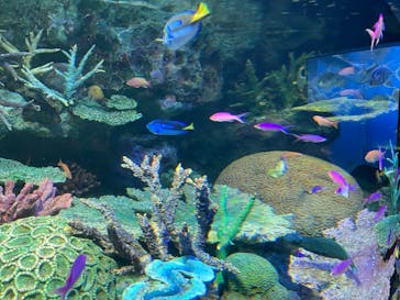 サンシャイン水族館に投稿された画像（2022/10/9）