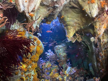 サンシャイン水族館に投稿された画像（2022/10/9）