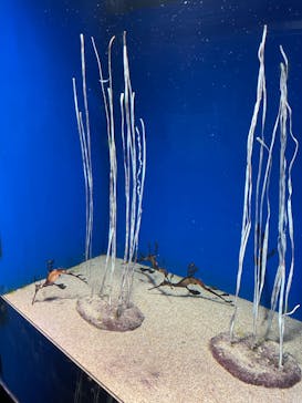 サンシャイン水族館に投稿された画像（2022/10/9）