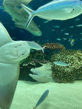 サンシャイン水族館に投稿された画像（2022/10/9）