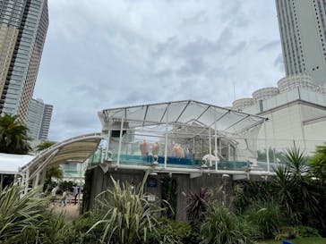 サンシャイン水族館に投稿された画像（2022/10/9）