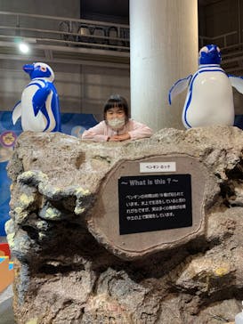 大分マリーンパレス水族館 「うみたまご」に投稿された画像（2022/10/9）