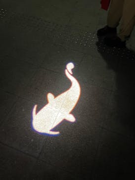 滋賀県立琵琶湖博物館に投稿された画像（2022/10/9）