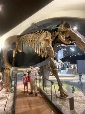 滋賀県立琵琶湖博物館に投稿された画像（2022/10/9）