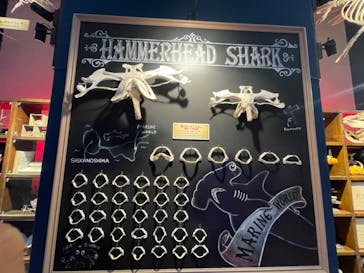 マリンワールド海の中道に投稿された画像（2022/10/9）