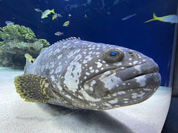 マリンワールド海の中道に投稿された画像（2022/10/9）