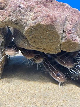 マリンワールド海の中道に投稿された画像（2022/10/9）