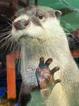 ゼロ距離水族館 伊勢シーパラダイスに投稿された画像（2022/10/9）