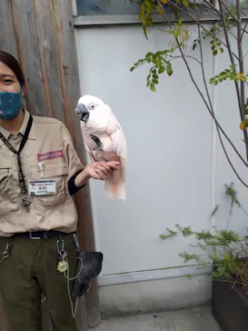 神戸どうぶつ王国に投稿された画像（2022/10/9）