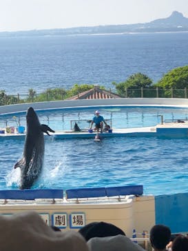 沖縄美ら海水族館に投稿された画像（2022/10/9）