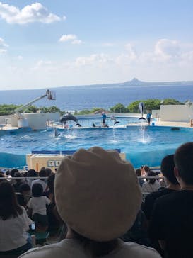 沖縄美ら海水族館に投稿された画像（2022/10/9）