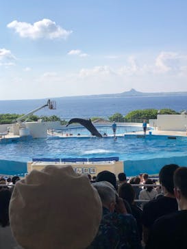 沖縄美ら海水族館に投稿された画像（2022/10/9）