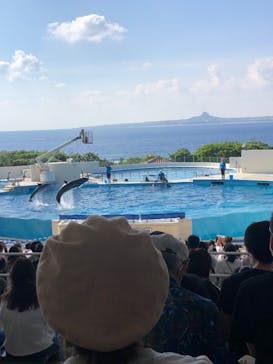 沖縄美ら海水族館に投稿された画像（2022/10/9）