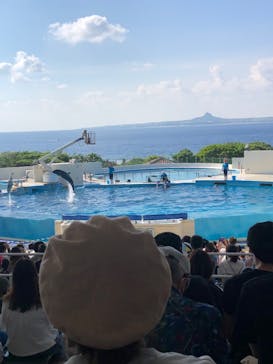 沖縄美ら海水族館に投稿された画像（2022/10/9）