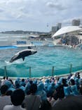 鴨川シーワールドに投稿された画像（2022/10/9）