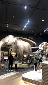 滋賀県立琵琶湖博物館に投稿された画像（2022/10/9）