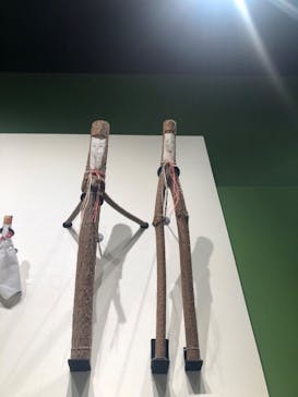 滋賀県立琵琶湖博物館に投稿された画像（2022/10/9）