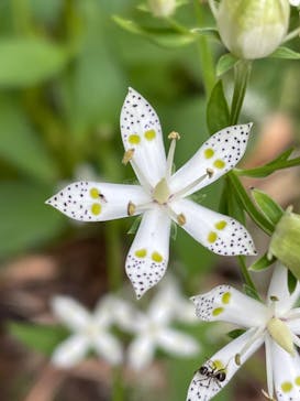 一般社団法人グリーンクリエイティブいなべに投稿された画像（2022/10/9）