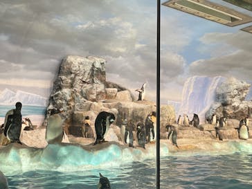 名古屋港水族館に投稿された画像（2022/10/9）