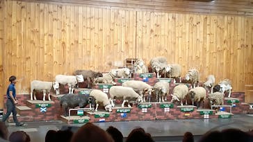 マザー牧場に投稿された画像（2022/10/9）